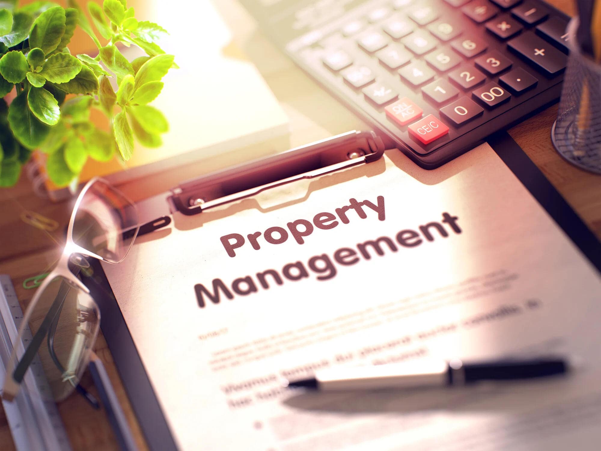 Leasing-Only Service vs. Full-Service Property Management in Jacksonville, FL